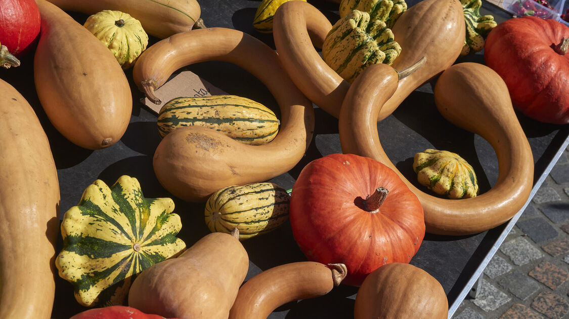 Marché de la fleur d'Automne 2025
