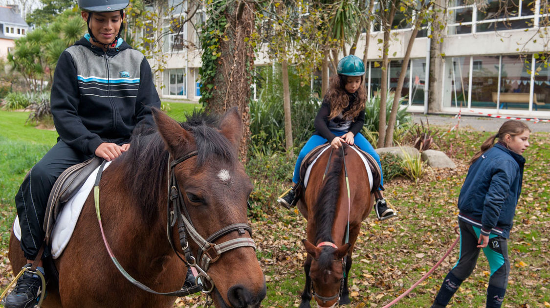 Sport dans les quartiers - Animation équitation (5)