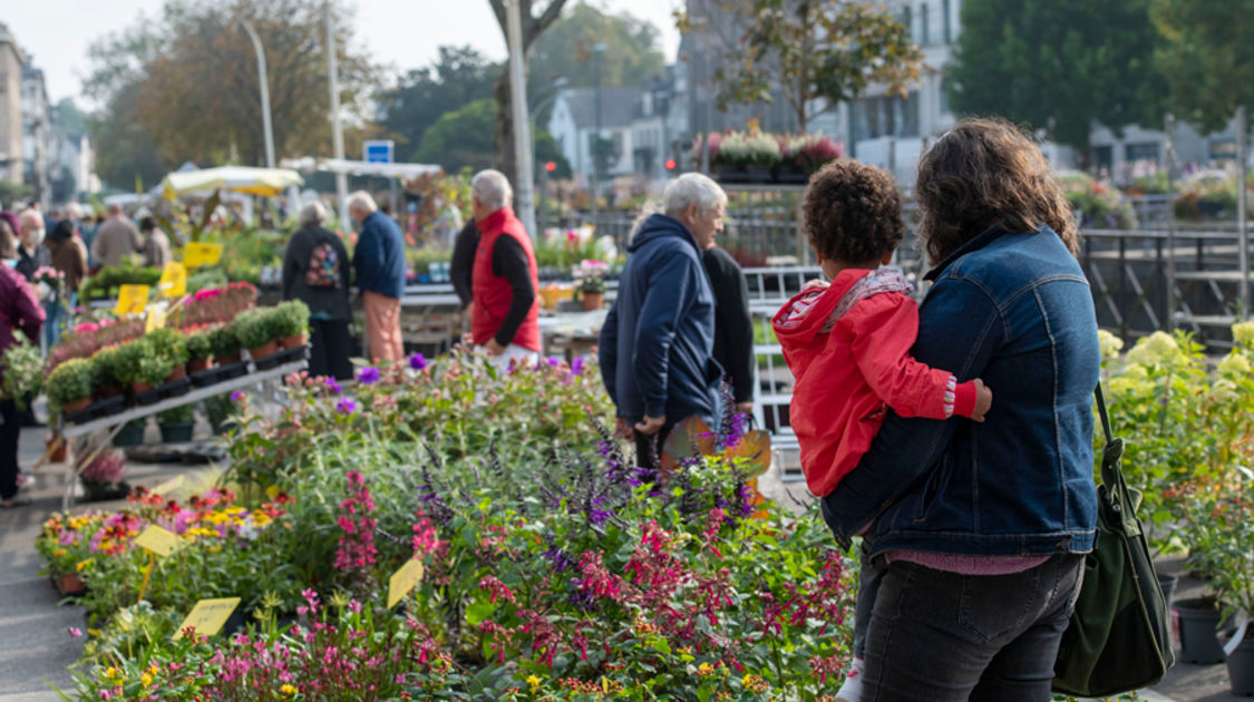 Festival "Le Temps de l'arbre" 2021 - Marché de la fleur d'automne