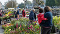 Festival "Le Temps de l'arbre" 2021 - Marché de la fleur d'automne