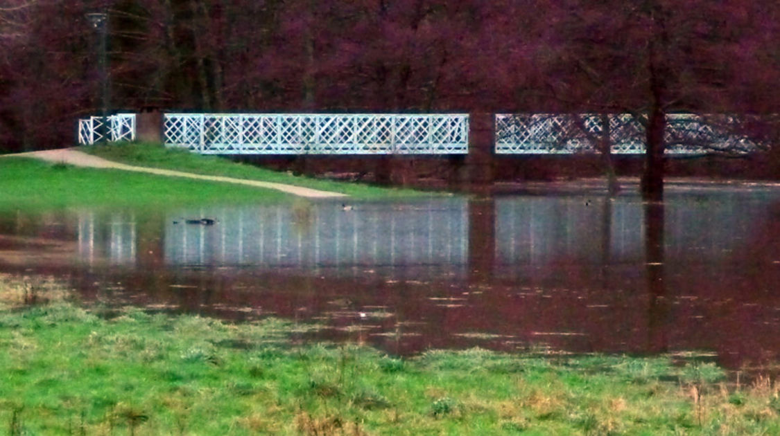 Crue - Odet et Steir - 24 décembre 2013 (3)