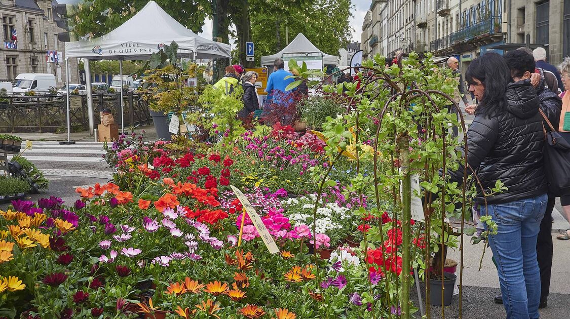 Marché de la fleur d'été 2024