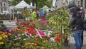 Marché de la fleur d'été 2024