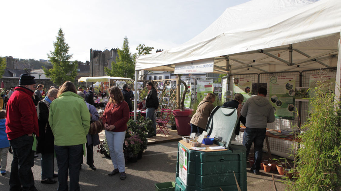 Marché de la fleur d automne 2014 (18)