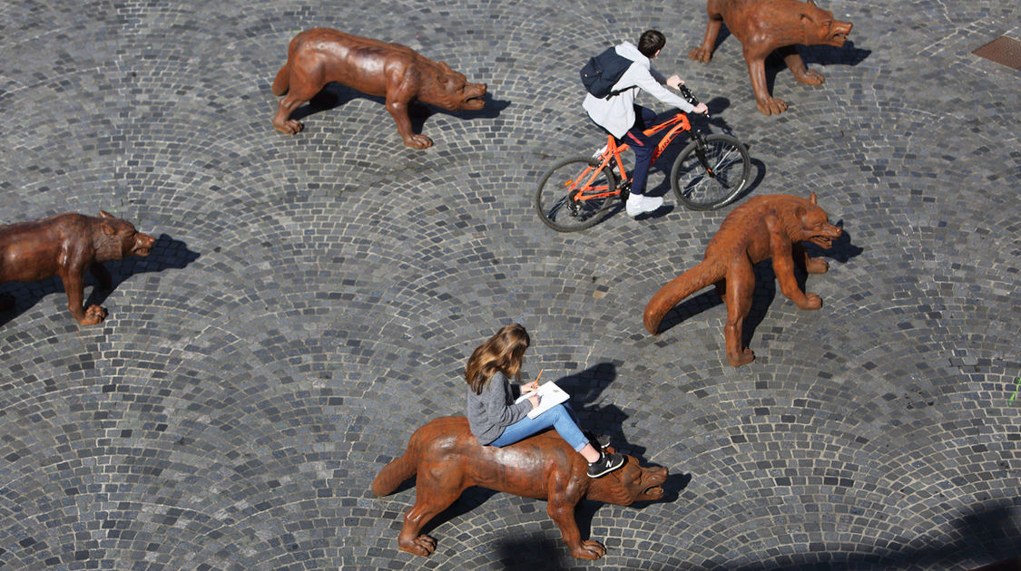 Exposition Les loups arrivent au bout du monde (14)