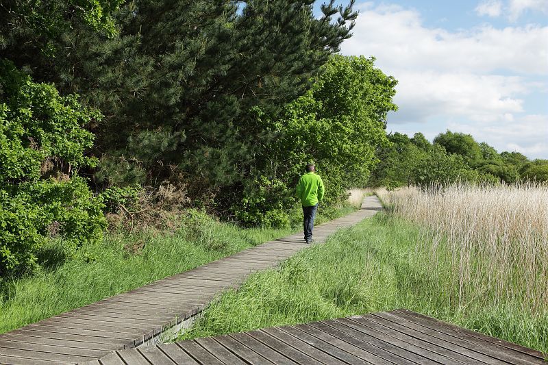 Des travaux d’entretien dans les milieux humides fragiles