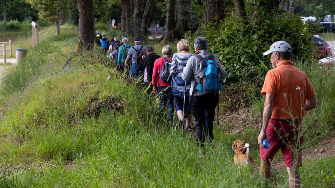 Les chemins de l'été 2021