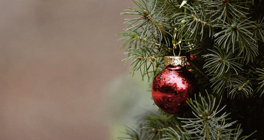 Recyclage des sapins de Noël du jeudi 26 décembre 2024 au mardi 7 janvier 2025