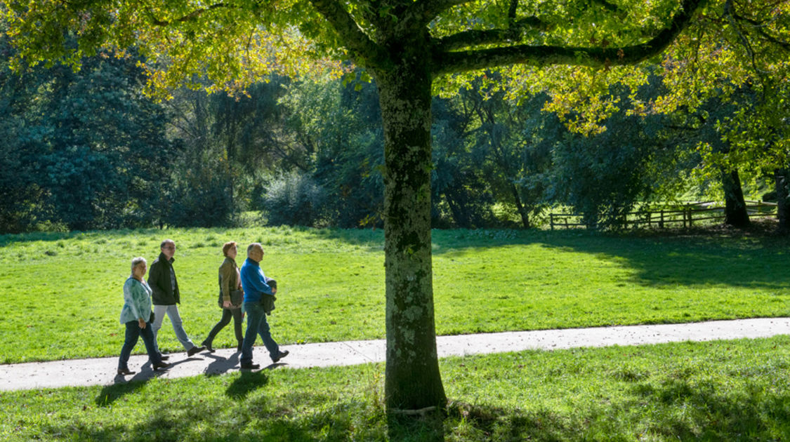 Festival "Le Temps de l'arbre" 2021 - Le Vallon Saint-Laurent