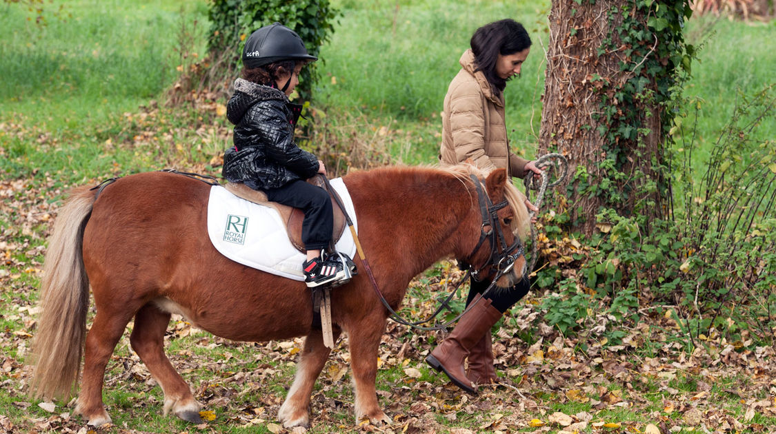 Sport dans les quartiers - Animation équitation (10)