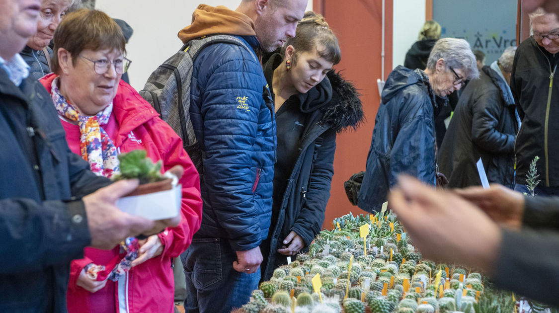 Salon Grandeur Nature - Cactées et plantes succulentes 2019  (17)