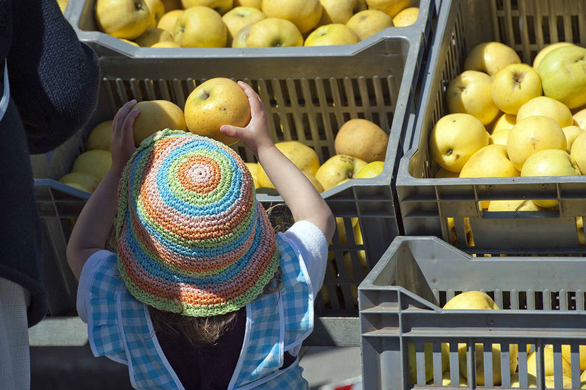 Shopping : découvrez les marchés de Quimper