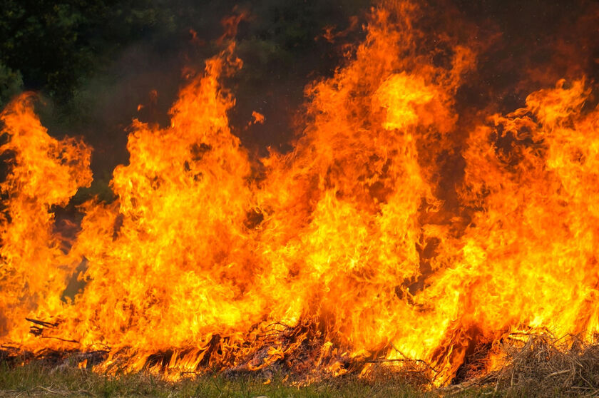 Incendies en France : la Ville vote une subvention exceptionnelle