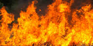 Incendies en France : la Ville vote une subvention exceptionnelle