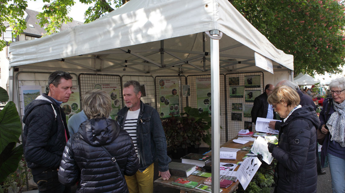 Le 10 mai 2015, le marché de la fleur d'été de retour sur les quais de l'Odet.