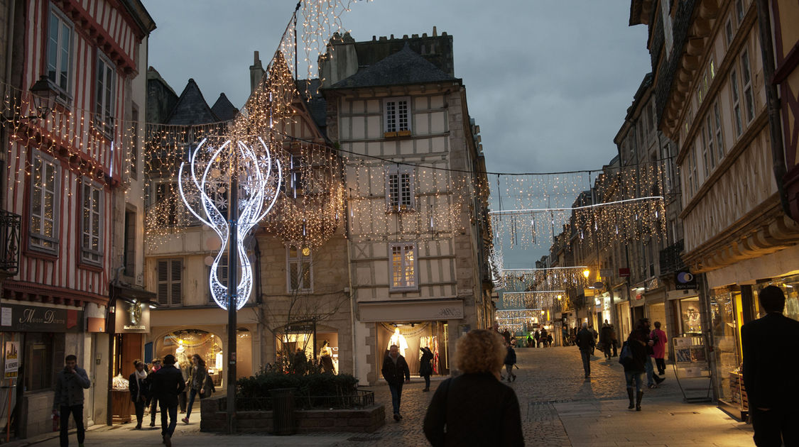 Les-illuminations-de-Noël-2015-(3)