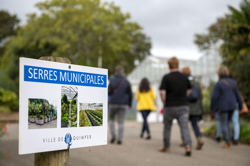 Atelier de semis médiévaux aux serres municipales