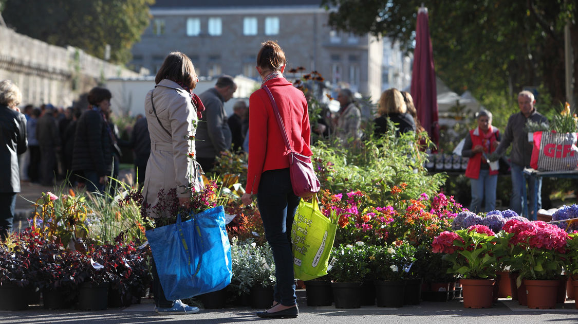 Marché de la fleur - 2 octobre 2016 (4)