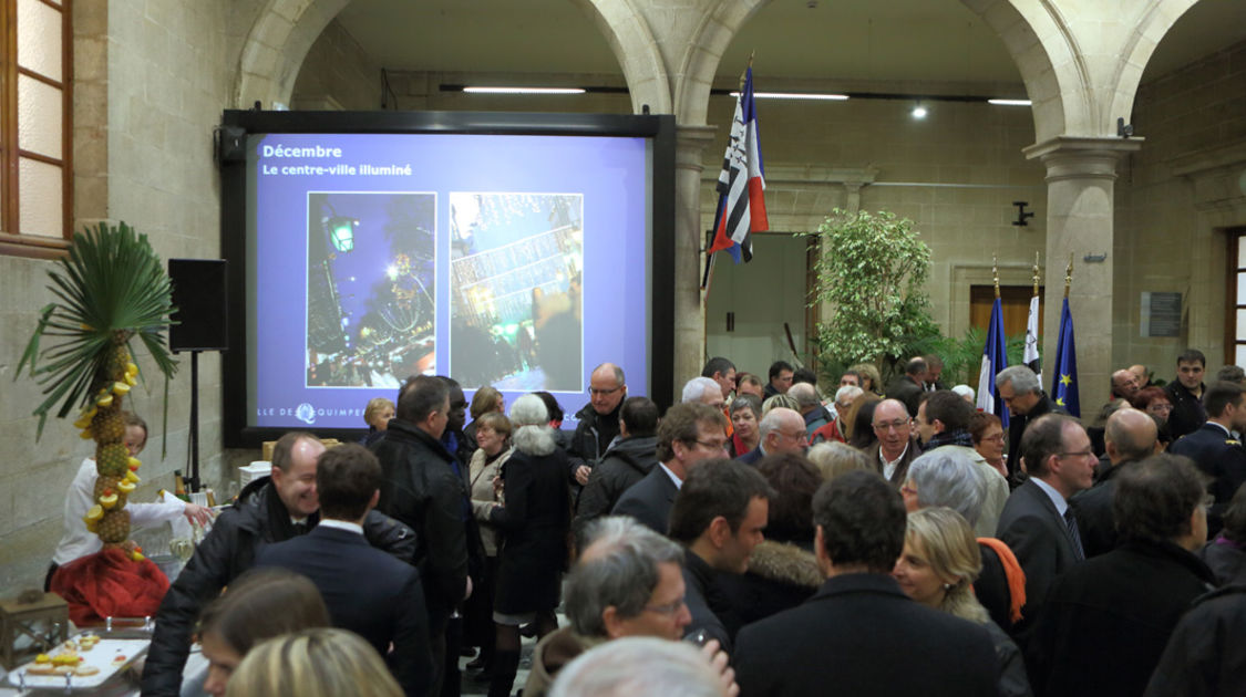 Ceremonie des voeux 2015 - Hall de la mairie centre (12)
