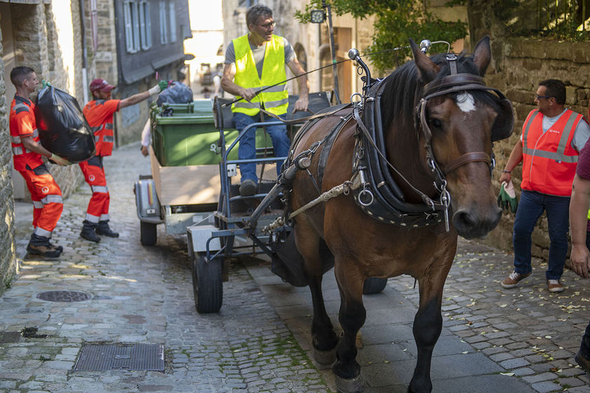 La collecte des déchets à cheval est assurée du lundi au samedi de 18h30 à 22h30.