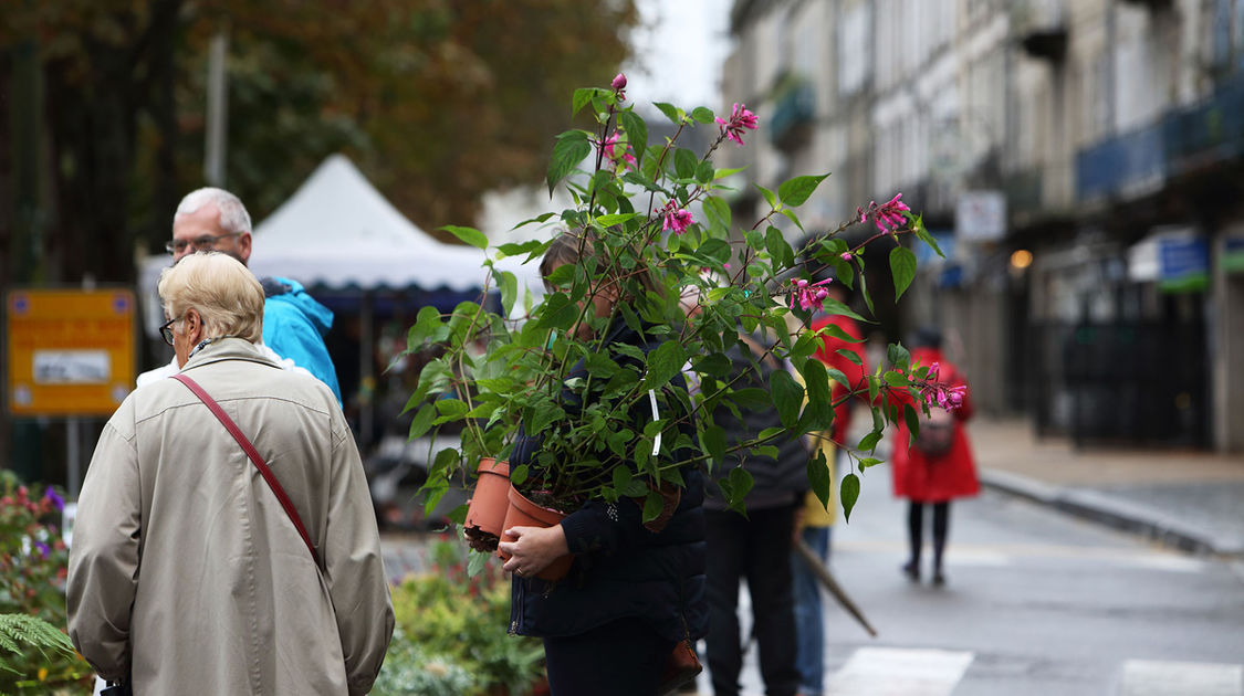 MARCHE AUTOMNE 2019 0020