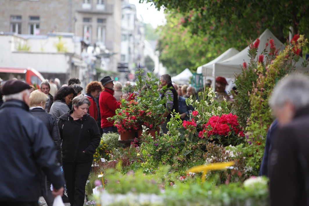 En images, l'édition 2015 du marché de la fleur d’été