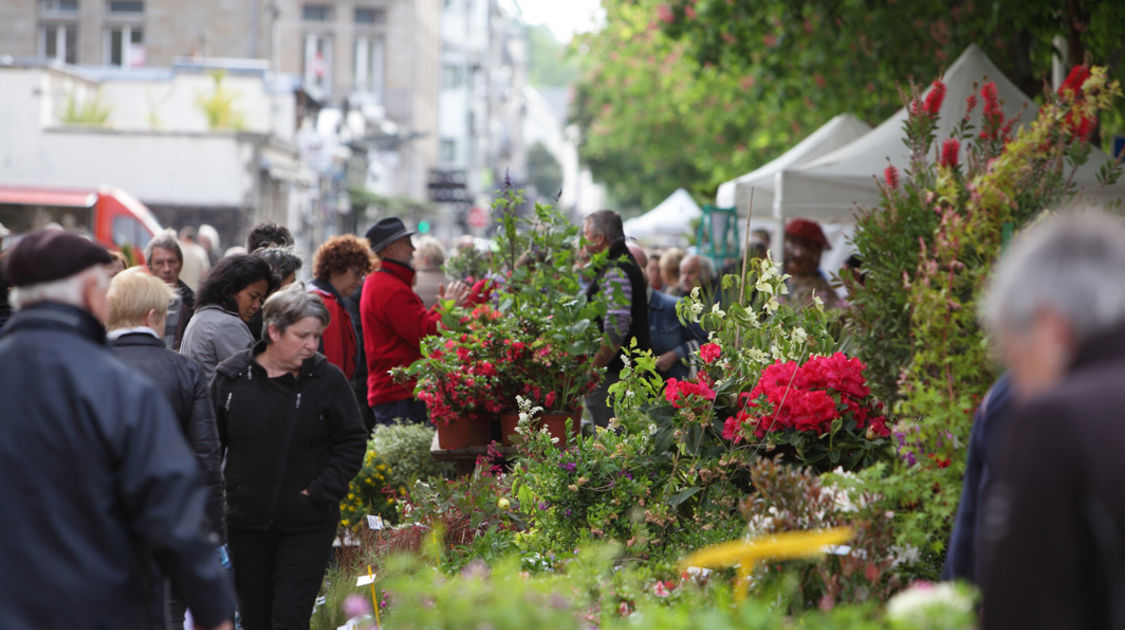 Le 10 mai 2015, le marché de la fleur d'été de retour sur les quais de l'Odet.