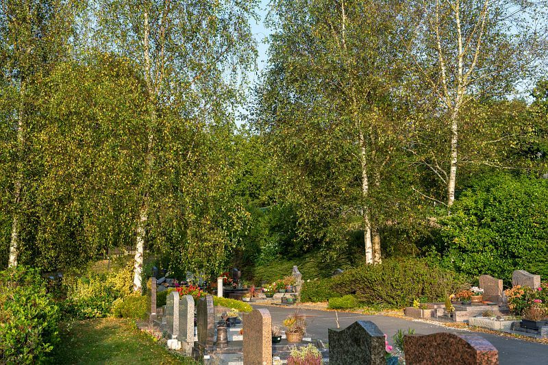 Le cimetière de Stang-Bihan labellisé Espace Végétal Ecologique  