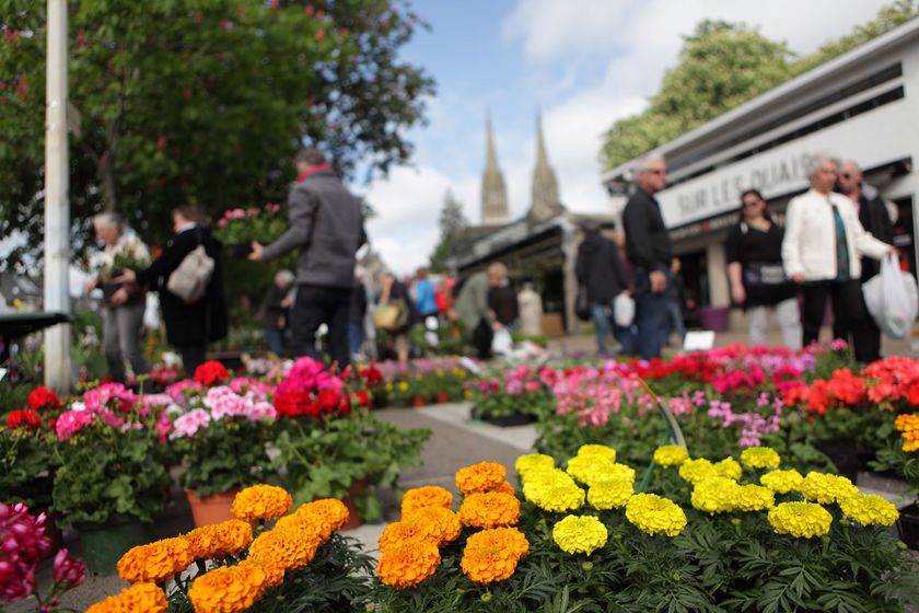 Marché de la fleur d’été Dimanche 27 avril 2025