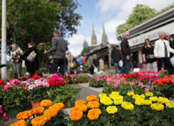 Marché de la fleur d’été Dimanche 27 avril 2025