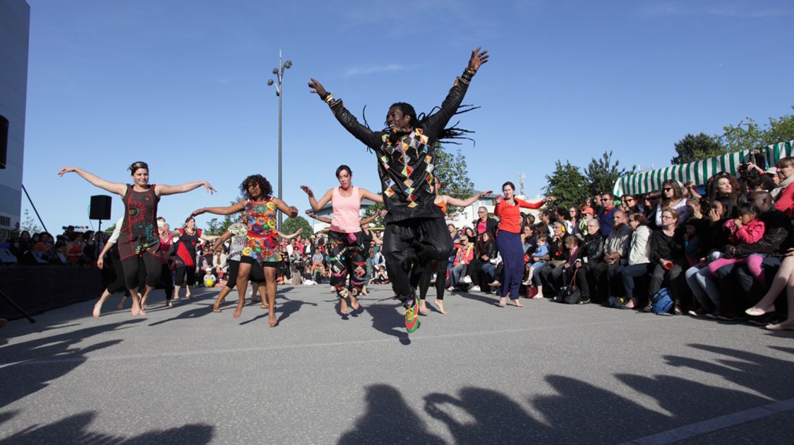 Quartier en fête - La rue est vers l art 2015 à Kermoysan (37)