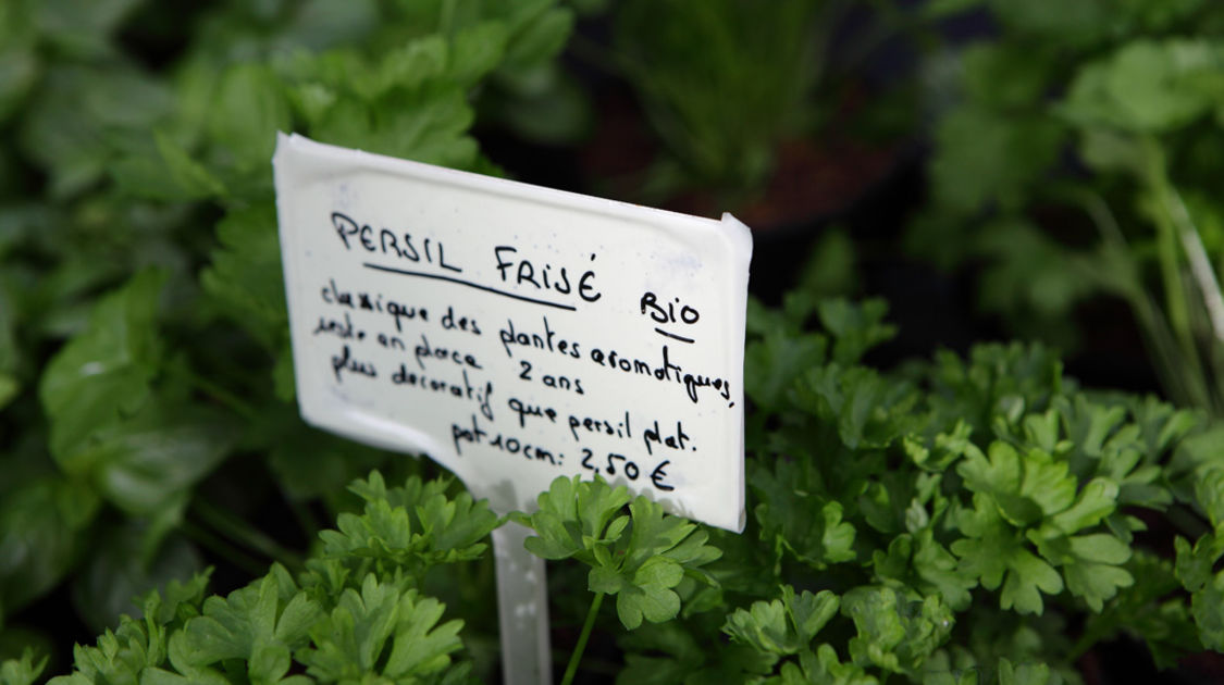 Le 10 mai 2015, le marché de la fleur d'été de retour sur les quais de l'Odet.