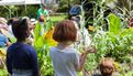 Le comédien Michaël Lonsdale et le pianiste Patrick Scheyder ont donné une représentation du spectacle des Jardins et des hommes dans le jardin du théâtre Max Jacob le 25 juin (14)