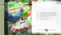 Présentation Les Halles Saint-François