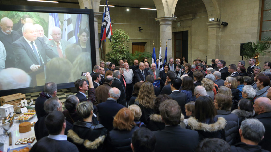 Ceremonie des voeux 2015 - Hall de la mairie centre (7)