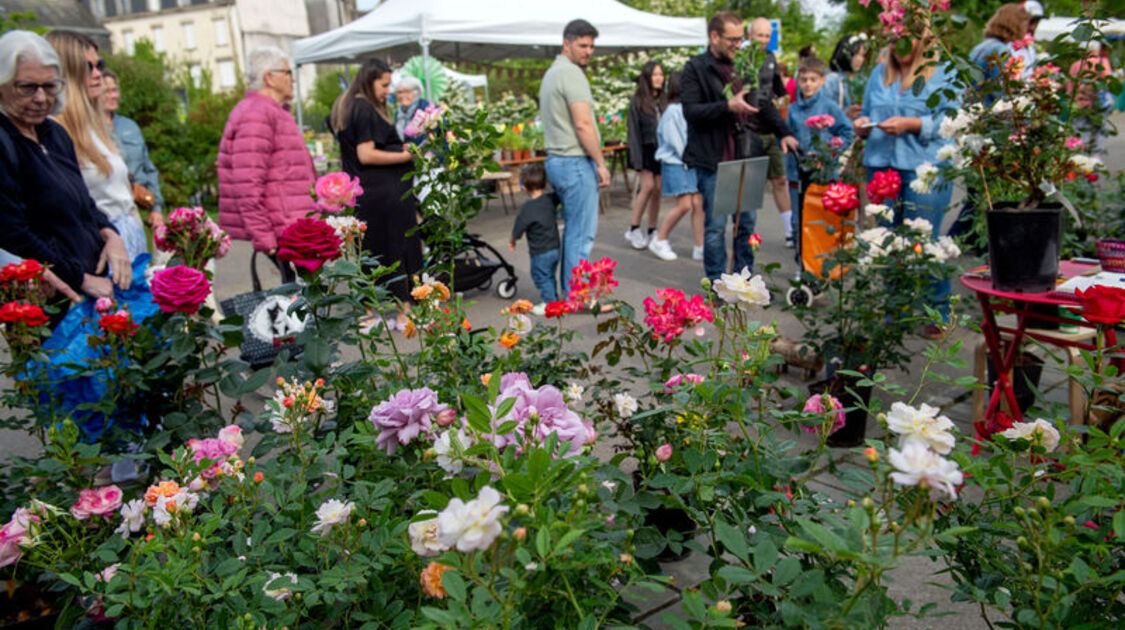 Marché de la fleur d'été 2026