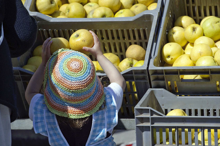 Le marché du Steir s’agrandit