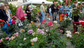 Marché de la fleur d'été 2026