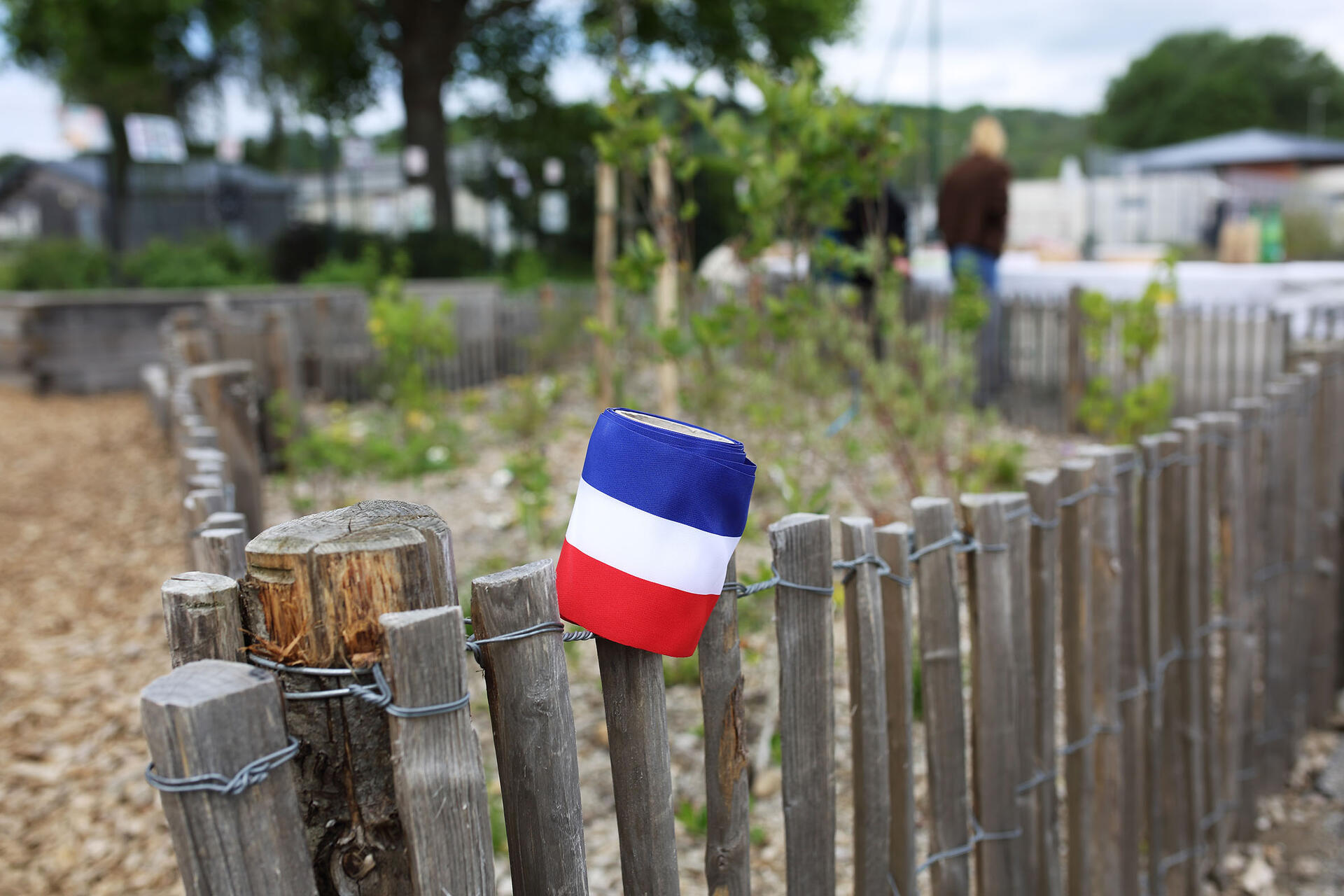 Végétalisation des cours d’école : Inauguration au groupe scolaire Léon-Goraguer