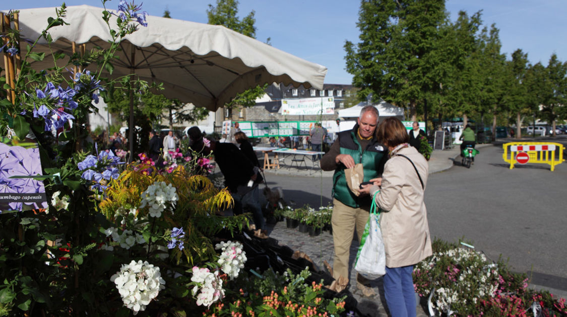 Marché de la fleur d automne 2014 (14)