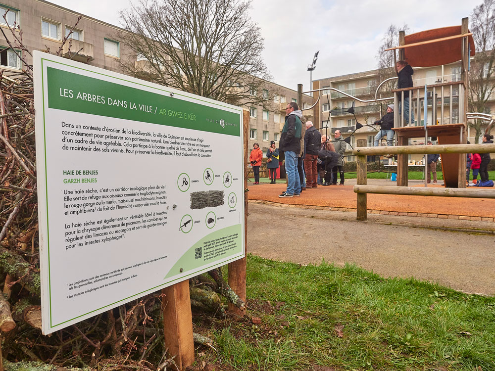 Budget participatif : Des arbres fruitiers et arbustes à Kerfeunteun