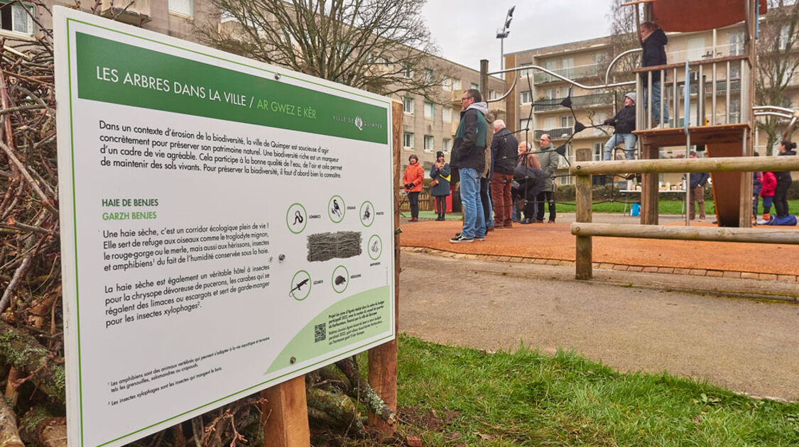 Budget participatif : Des arbres fruitiers et arbustes à Kerfeunteun