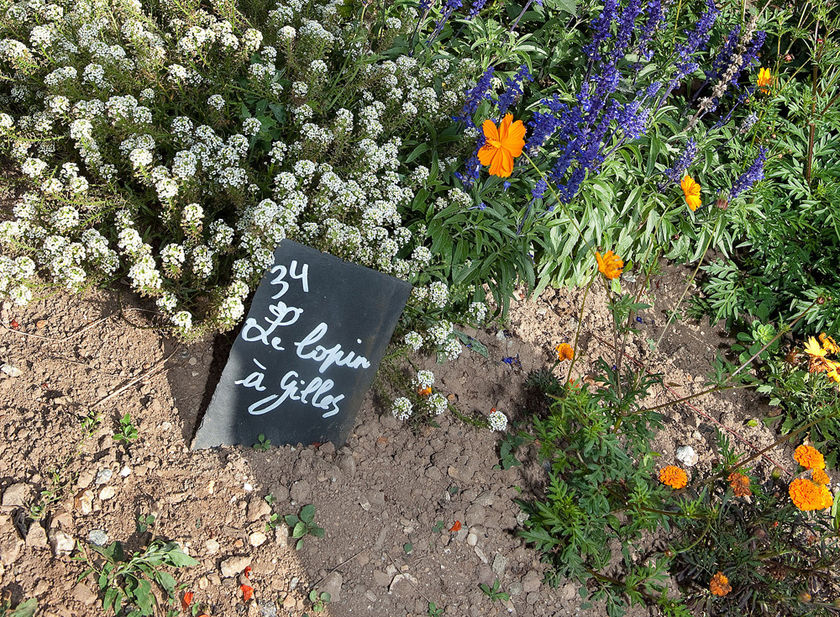 Journée portes ouvertes des jardins familiaux