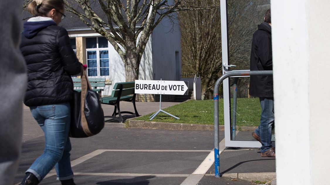 Premier tour des élections départementales 2015 (4)