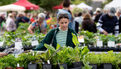 Marché de la fleur d'été 2026