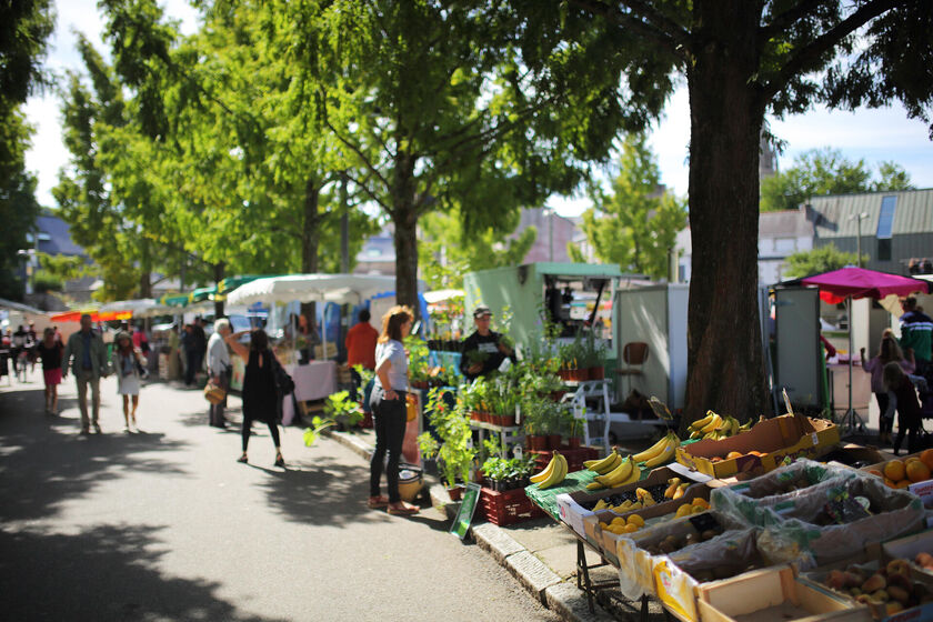 A la découverte des marchés de Quimper