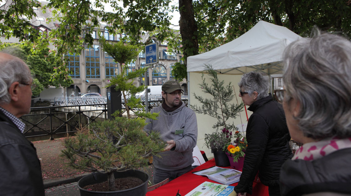 Le 10 mai 2015, le marché de la fleur d'été de retour sur les quais de l'Odet.