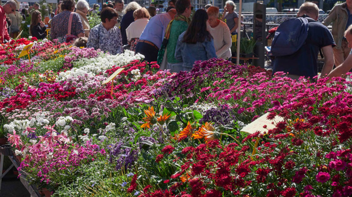 Marché de la fleur d'été 2022