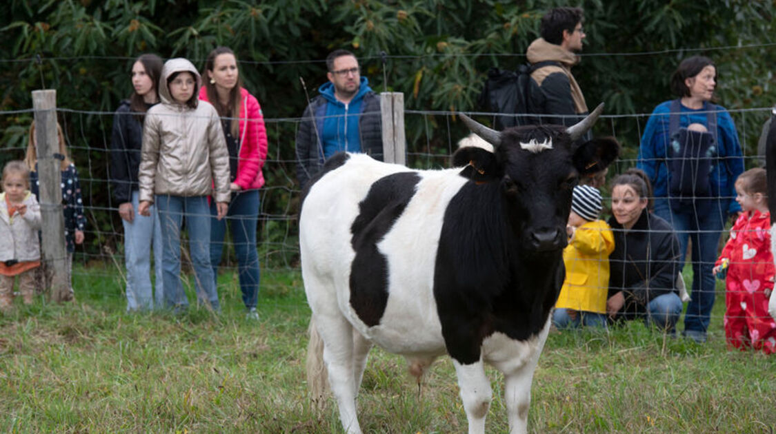 Des enfants et des arbres 2026