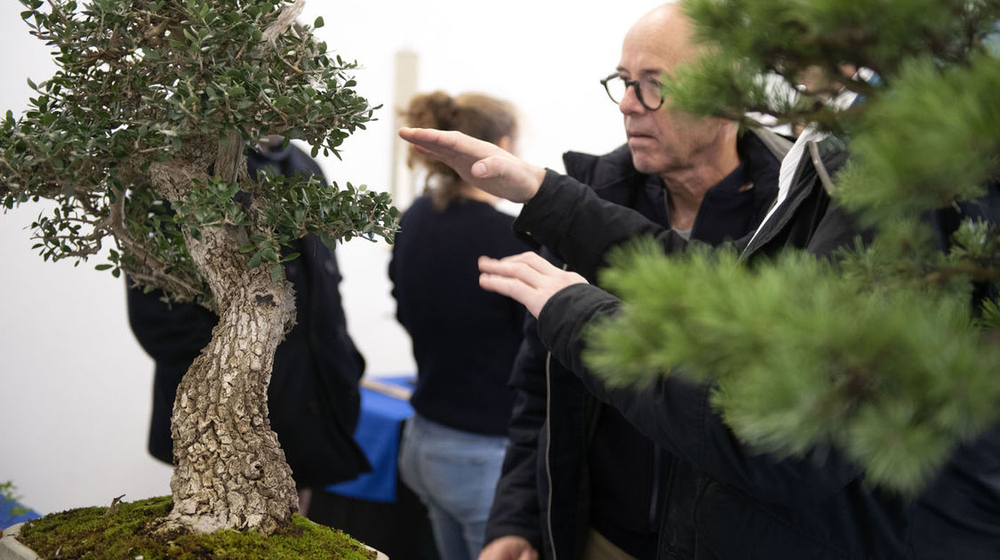 2e édition du salon Grandeur Nature consacré cette année aux bonsaï (21)